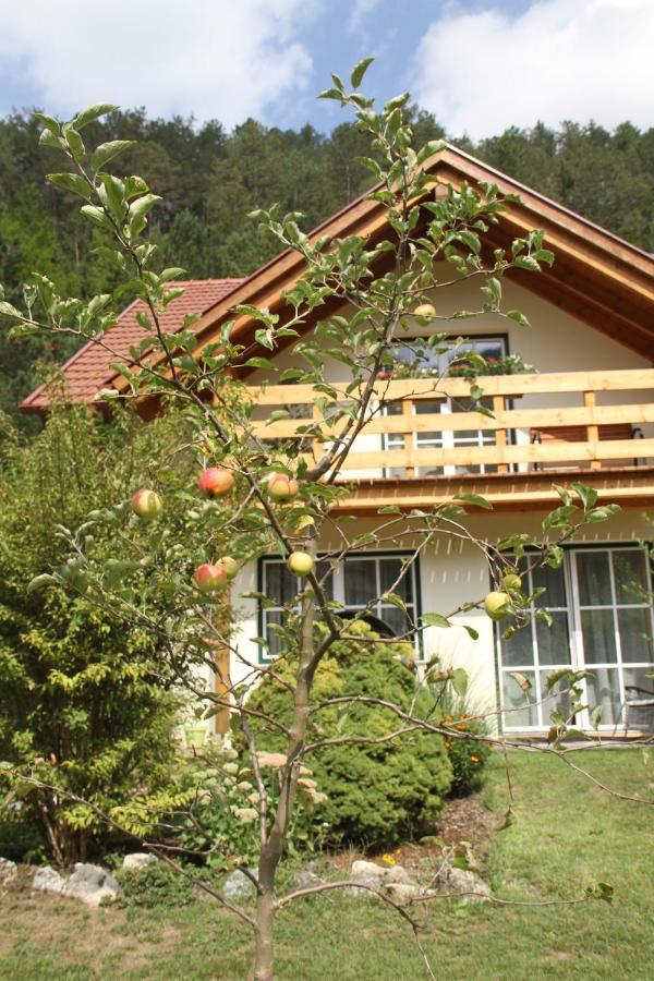 Ferienwohnung Purbach Muggendorf  Dış mekan fotoğraf
