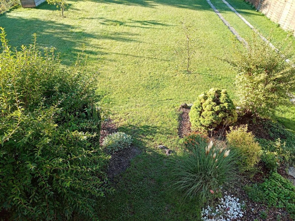 Ferienwohnung Purbach Muggendorf  Dış mekan fotoğraf